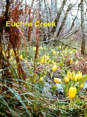 cover image of Euchre Creek